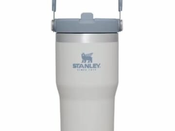 Stanley IceFlow Straw Tumblers as low as $22.49 at REI!