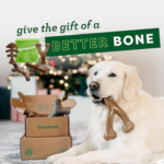 Benebone Medium Holiday 4-Pack Dog Chew Toys as low as $10.48 After Coupon (Reg. $32.89) + Free Shipping – $2.62 each – For Aggressive Chewers