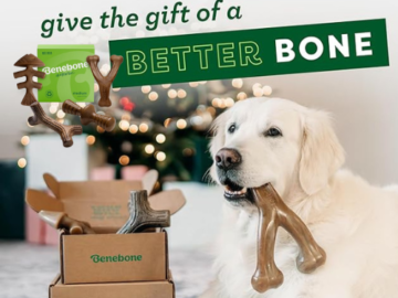 Benebone Medium Holiday 4-Pack Dog Chew Toys as low as $10.48 After Coupon (Reg. $32.89) + Free Shipping – $2.62 each – For Aggressive Chewers