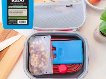 Igloo Maxcold Small Reusable Ice Block $0.98 (Reg. $1.65)