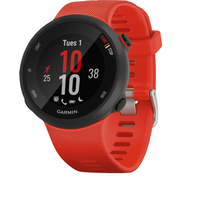 Garmin Forerunner 45 GPS Running Watch for $115 + free shipping