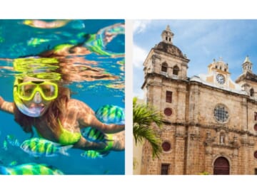 Princess Cruise Fares | 50% Off + Bring a 3rd & 4th Guest Free!