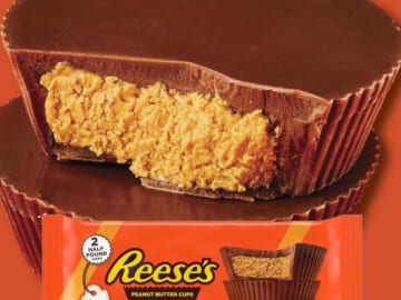 REESE’S Milk Chocolate Half-Pound Peanut Butter Cups, 2-Count as low as $9.07 Shipped Free (Reg. $12.43)- $4.54/ 8-Oz Cup