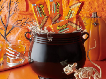 Reese’s 24-Pack Full Size Franken-Cup Milk Chocolate Peanut Butter Candy Cups as low as $14.20 Shipped Free (Reg. $21.48) – 59¢/Cup – LOWEST PRICE