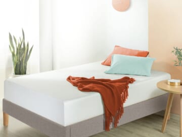 Zinus 10" Green Tea Arie Twin Memory Foam Mattress for $98 + free shipping