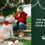 15 Design-Forward Gift Ideas For Pets And Pet Lovers