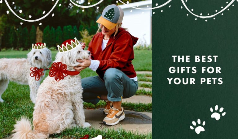 15 Design-Forward Gift Ideas For Pets And Pet Lovers
