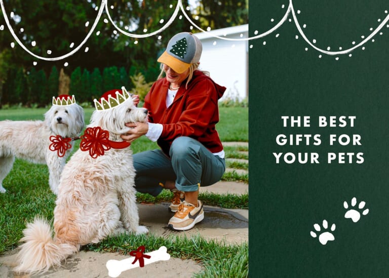 15 Design-Forward Gift Ideas For Pets And Pet Lovers