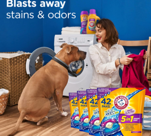 168-Count Arm & Hammer Plus OxiClean w/ Odor Blasters 5-in-1 Power Paks as low as $28.30 After Coupon (Reg. $49) + Free Shipping – $7.08/42-Count Pack or 17¢/Pak