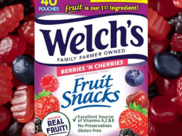 Welch’s Fruit Snacks, 40-Count as low as $4.71 After Coupon when you buy 4 (Reg. $8.48) + Free Shipping – 12¢ Per Pouch – Mixed Fruit Flavor / Berries ‘n Cherries