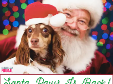 Christmas Time Isn’t Complete Without A Santa Pic With Your Furry Friends!