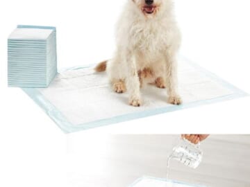 Amazon Basics Heavy Duty Dog and Puppy X-Large Pee Pads, 25-Pack as low as $11.97 Shipped Free (Reg. $20.47) – 48¢/Pad, w/ 5-Layer Leak-Proof Design & Quick-Dry Surface for Potty Training, 28 x 34 Inch