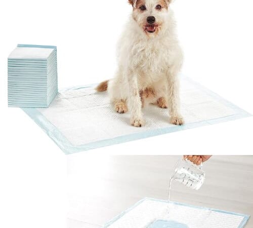 Amazon Basics Heavy Duty Dog and Puppy X-Large Pee Pads, 25-Pack as low as $11.97 Shipped Free (Reg. $20.47) – 48¢/Pad, w/ 5-Layer Leak-Proof Design & Quick-Dry Surface for Potty Training, 28 x 34 Inch