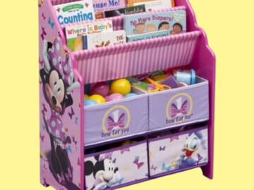 Delta 6-Bin Book & Toy Organizers from $25 (Reg. $40) – Paw Patrol, Minnie, & More
