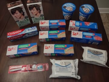 Brigette’s $15.06 Walgreens Shopping Trip ($6 Money Maker after Rebates!)