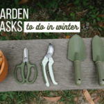 18 Garden Tasks to Do in Winter