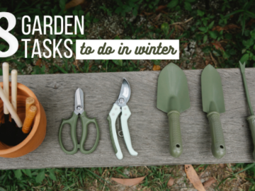 18 Garden Tasks to Do in Winter