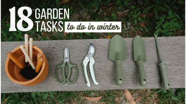 18 Garden Tasks to Do in Winter