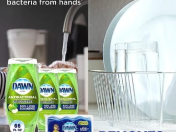 Dawn Antibacterial 3-Count EZ-Squeeze Liquid Dish Soap (Apple Blossom) as low as $9.56 After Coupon (Reg. $16) + Free Shipping – $3.19 Each + 2 Scrub Sponges