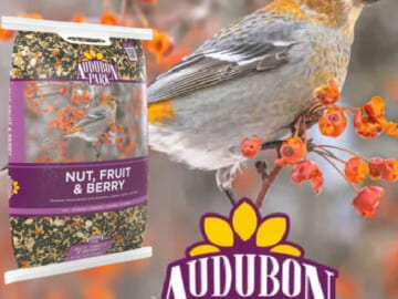 Audubon Park Nut, Fruit & Berry Wild Bird Food, Dry, 15 lbs. $9.99 (Reg. $21) – Great for Winter Feeding + MORE Bird Food deals