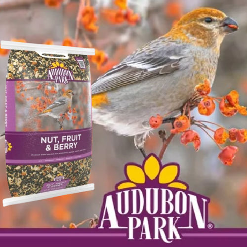 Audubon Park Nut, Fruit & Berry Wild Bird Food, Dry, 15 lbs. $9.99 (Reg. $21) – Great for Winter Feeding + MORE Bird Food deals