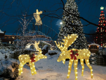Bring the magic of the season to your home with Yaheetech 2-Piece Christmas Moose Family $59.49 After Code + Coupon (Reg. $76.99) + Free Shipping