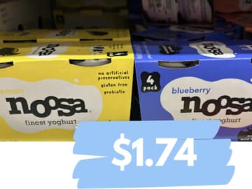 Get Noosa Yoghurt 4-Packs for $1.74 | Kroger Mega Deal