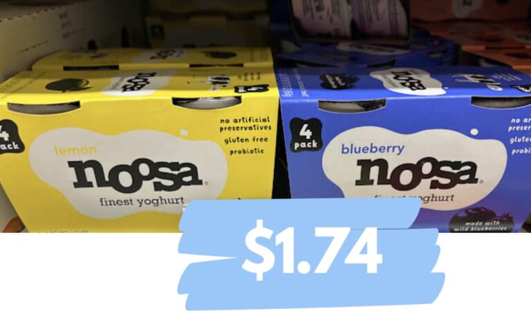 Get Noosa Yoghurt 4-Packs for $1.74 | Kroger Mega Deal