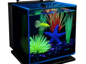 GloFish Betta Shadowbox Aquarium Kit for $36 + free shipping