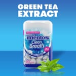 Mentos Sugarfree Hard Mints, Intense Peppermint, 600-Count as low as $7.29 when you get 2 (Reg. $17.16) + Free Shipping – $1.82/ Bottle or 1¢/Mint