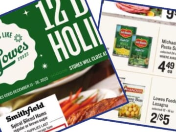 lowes foods weekly ad