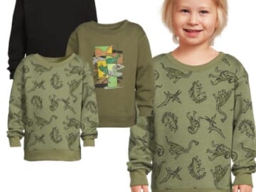 Garanimals Toddler Boy Long Sleeve Fleecea Sweatshirt, 3-Pack $10 (Reg. $17.94) – $3.33 Each, Sizes 2T-5T
