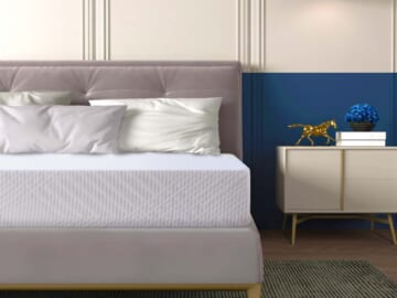 Mlily Ego 6" Memory Foam Twin Mattress for $89 + free shipping