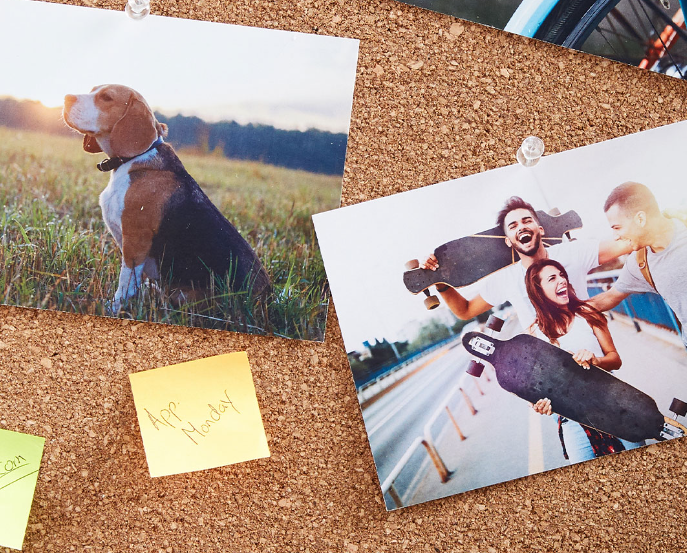 photo prints of a dog and group of friends