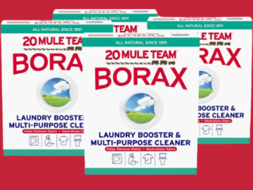 20 Mule Team 4-Pack Borax Boxes as low as $15.52 After Coupon (Reg. $25.49) + Free Shipping – $3.88/65 Oz Box