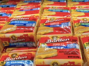 $2.07 Borden Cheese Singles at Publix