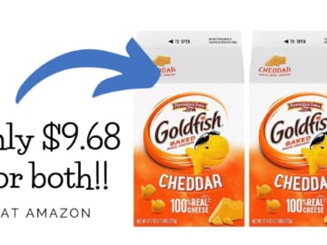 Goldfish Cheddar Crackers | 2 Cartons for $9.68!