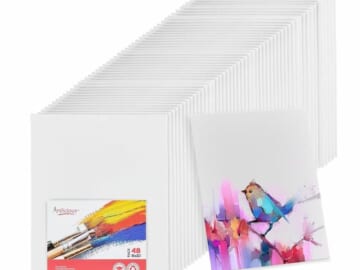 Artlicious Canvases for Painting
