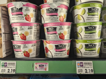 So Delicious Coconut Milk Yogurt Alternative Just $1.19 At Kroger