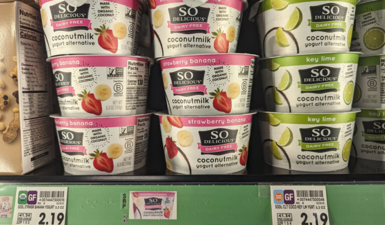 So Delicious Coconut Milk Yogurt Alternative Just $1.19 At Kroger
