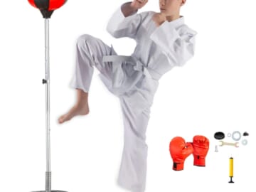 Boxing Training Speed Ball for $35 + free shipping