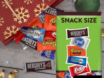 Hershey Assorted Milk and Dark Chocolate Flavored Snack Size as low as $7.54 After Coupon (Reg. $12.58) + Free Shipping, Christmas Candy Party Pack