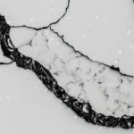 Benefits of Quartz Countertops