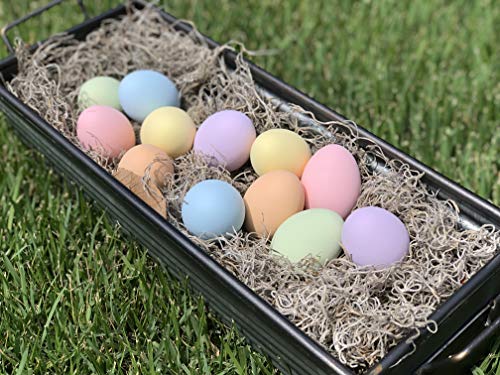 Eggcetera Ceramic Nest Eggs 12-Pack (Pastel)
