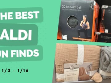 Aldi Fun Finds | Organize & Get Fit for Under $10!