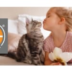 Amazon Sale | K&H Pet Products Up to 55% Off