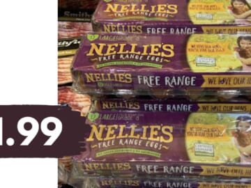 $1.99 Nellie’s Free Range Eggs at Publix