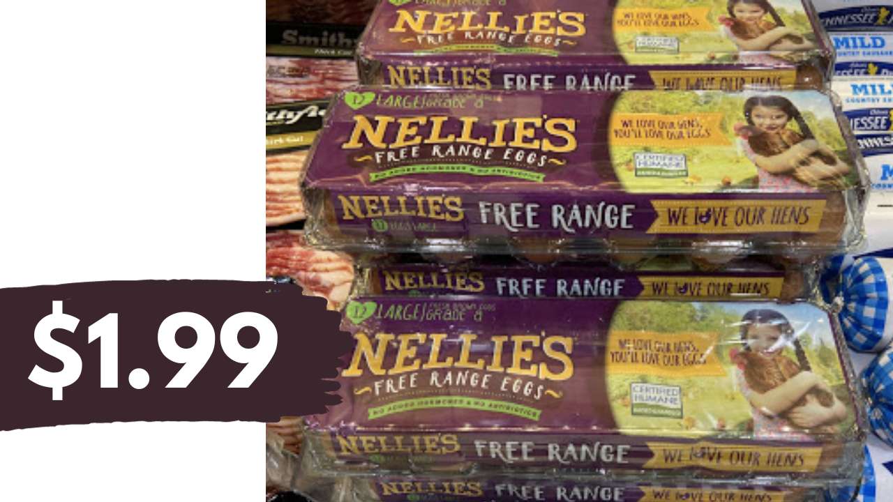 $1.99 Nellie’s Free Range Eggs at Publix
