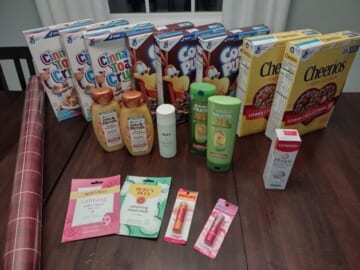 Brigette’s $25.85 CVS Shopping Trip (Free after ECB’s and Rebates) and $26.69 Walgreens Shopping Trip ($3.31 after Rewards)!