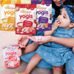 Happy Baby Organic Yogis Freeze-Dried Yogurt & Fruit Snacks, Variety Pack, 3-Pack as low as $7.68 After Coupon (Reg. $11.81) – $2.56 Each